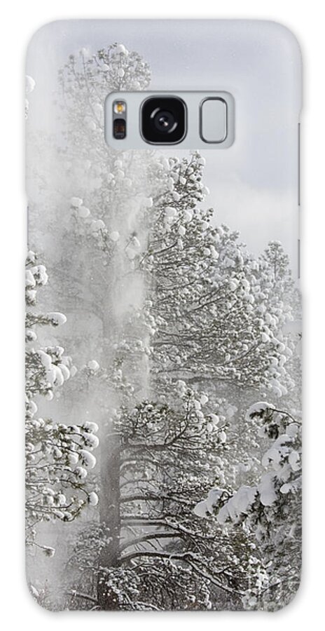 Beautiful Galaxy Case featuring the photograph Fresh Snow by Steven Krull