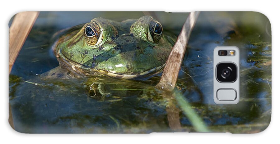 Amphibian Galaxy Case featuring the photograph Frog Eyes by Cathy Kovarik