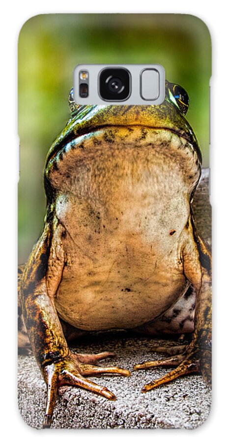 Frog Galaxy Case featuring the photograph Frog Prince or so he thinks by Bob Orsillo