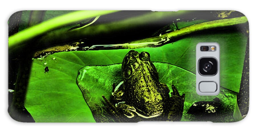 Photograph Digital Art Galaxy Case featuring the photograph Froggy by M Three Photos