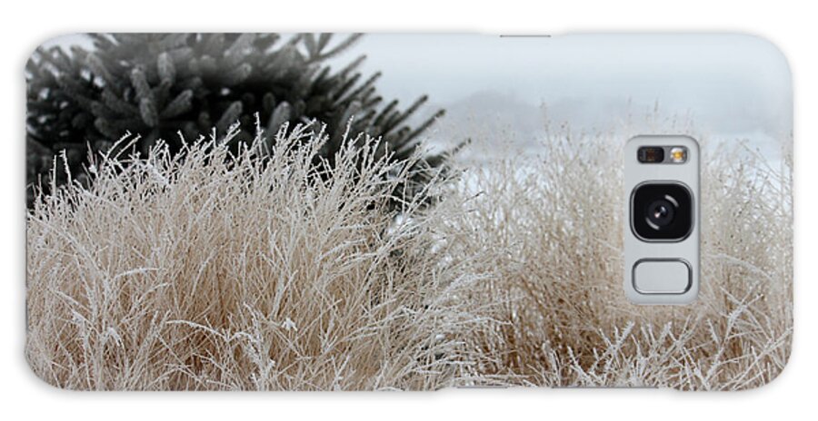 Grass Galaxy S8 Case featuring the photograph Frosted Grasses by Debbie Hart