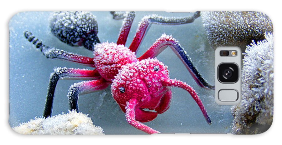 Frost Galaxy S8 Case featuring the photograph Frosty Ant in Winter by Duane McCullough