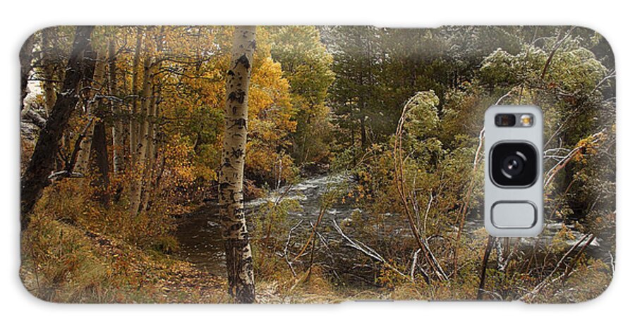 Fall Color Galaxy Case featuring the photograph Frosty Fall Morning by Duncan Selby