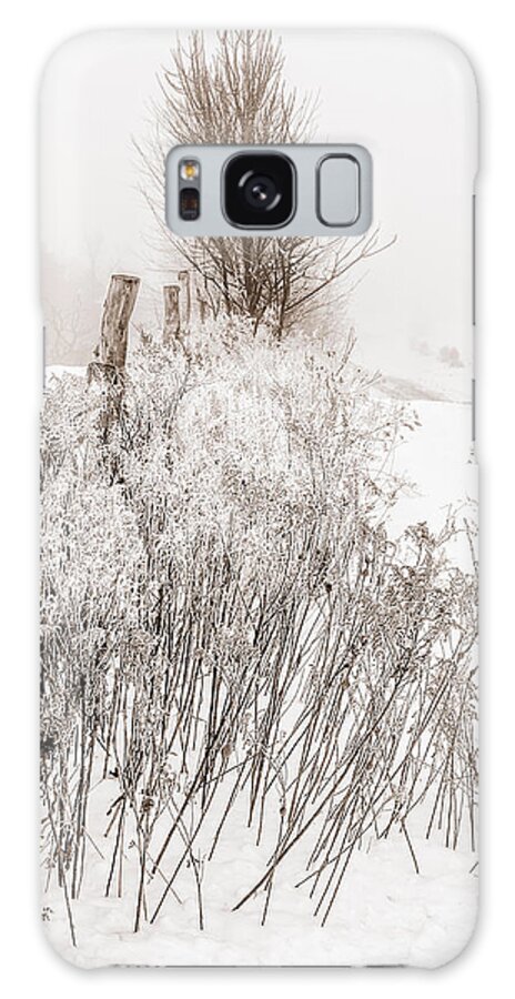 Corn Shocks Galaxy Case featuring the photograph Frozen fog on a hedgerow - BW by Chris Bordeleau