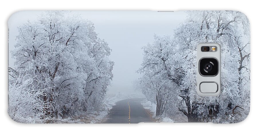 Ice Galaxy Case featuring the photograph Frozen Trees by Darren White