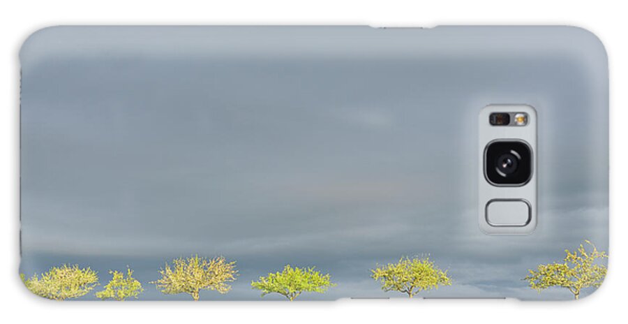 Scenics Galaxy Case featuring the photograph Fruit Trees With Stormy Sky by Raimund Linke