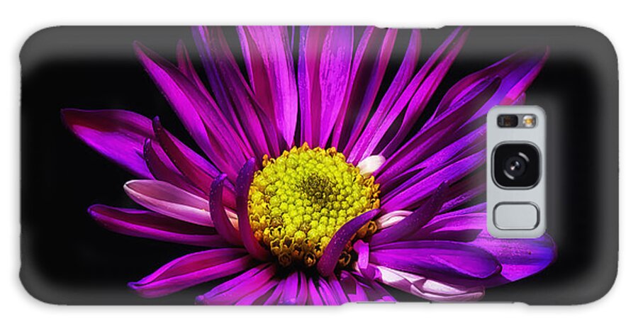 Flower Galaxy Case featuring the photograph Fuchsia Floral Bloom by Bill and Linda Tiepelman