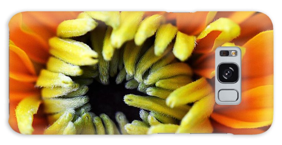 Flower Galaxy Case featuring the photograph Fuzzy Wuzzy by Judy Wolinsky