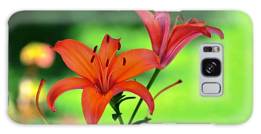 Lily Galaxy Case featuring the photograph Garden Lilies by Phillip Garcia