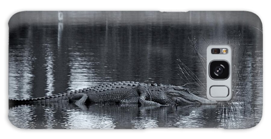 Alligator Galaxy Case featuring the photograph Gator Tale by Southern Photo