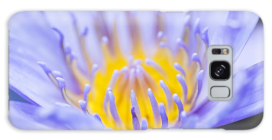 Blue Waterlily Galaxy Case featuring the photograph Gentle Blue by Priya Ghose