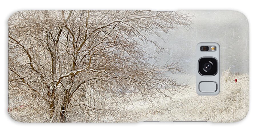 Winter Galaxy Case featuring the photograph Gentle Winter by Mary Underwood