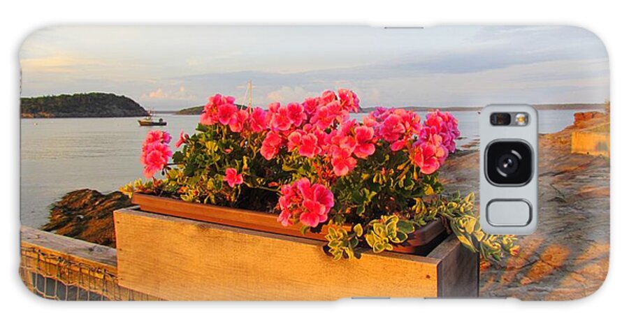 Flowers Galaxy Case featuring the photograph Geraniums by Elizabeth Dow