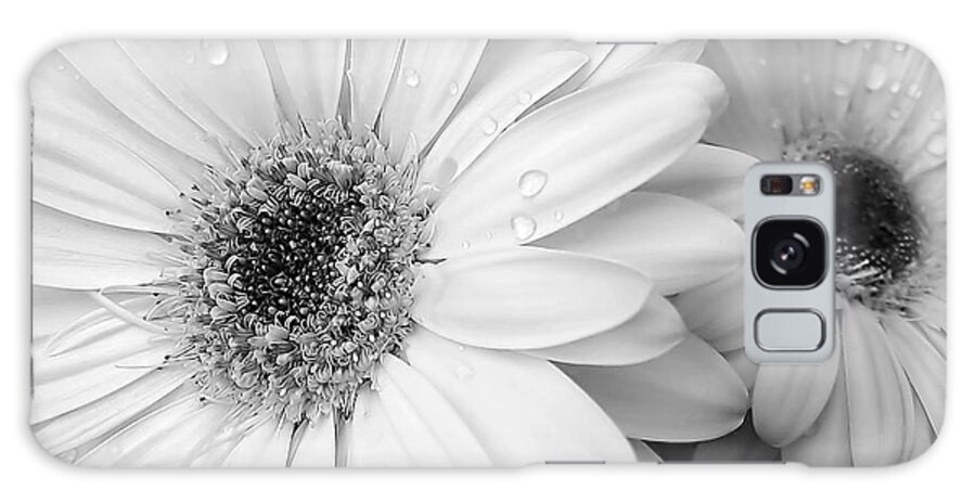 Daisy Galaxy Case featuring the photograph Gerber Daisies in Black and White by Jennie Marie Schell