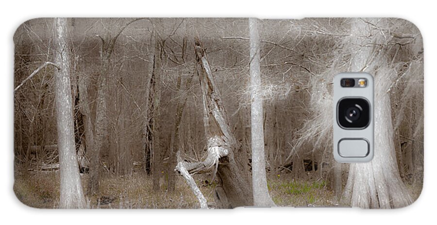Craggy Galaxy Case featuring the photograph Ghost Trees by Jo Ann Tomaselli
