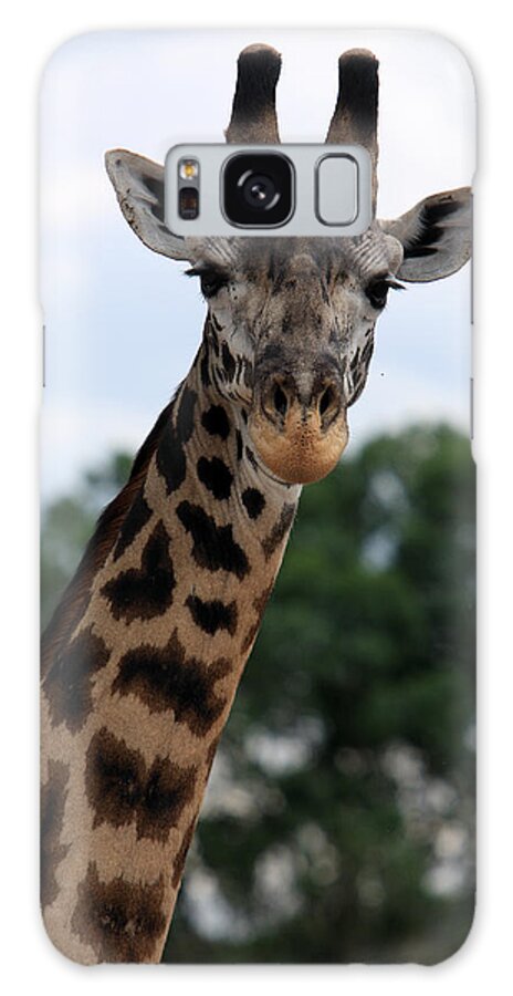 Giraffe Galaxy Case featuring the photograph Giraffe by Aidan Moran
