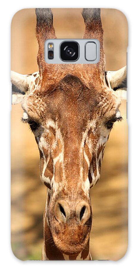 Giraffe Galaxy S8 Case featuring the photograph Giraffe by Elizabeth Budd