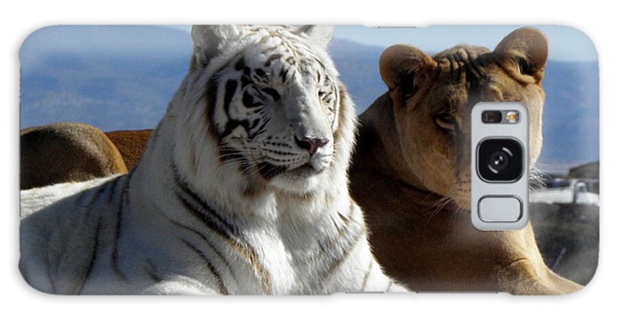 White Tiger Galaxy Case featuring the photograph Girlfriends Of The Wild by Kim Galluzzo