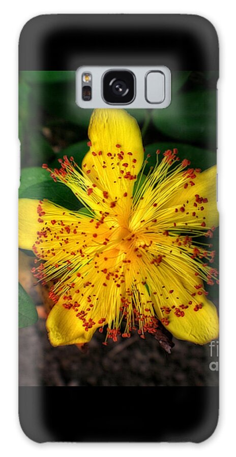Flower Galaxy Case featuring the photograph Yellow and Red in a Sea of Green by Doc Braham