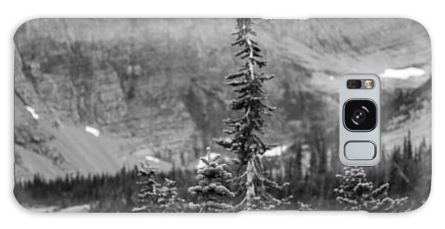 Alex Blondeau Galaxy Case featuring the photograph Gnarled Pines by Alex Blondeau