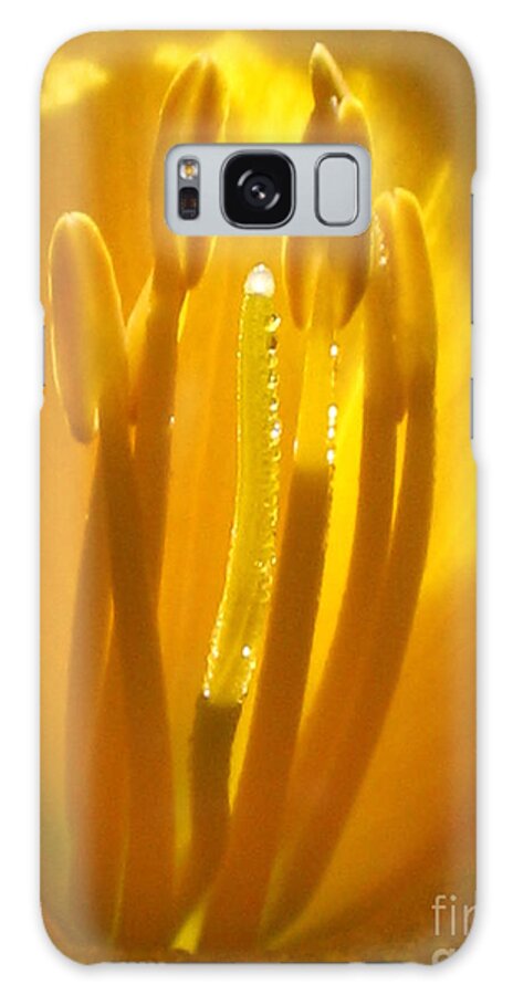Yellow Galaxy Case featuring the photograph God's light shining through by Jennifer E Doll