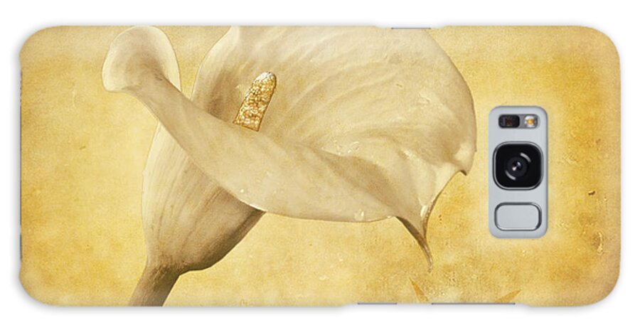 Cala Lily Galaxy S8 Case featuring the photograph Golden Glow Cala Lily by Shirley Mangini