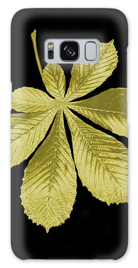 Black Background Galaxy Case featuring the photograph Golden Horse-chestnut Leaf On A Black by Mike Hill
