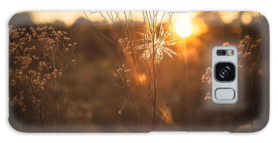 Sunshine Galaxy Case featuring the photograph Golden Hour by Maria Robinson