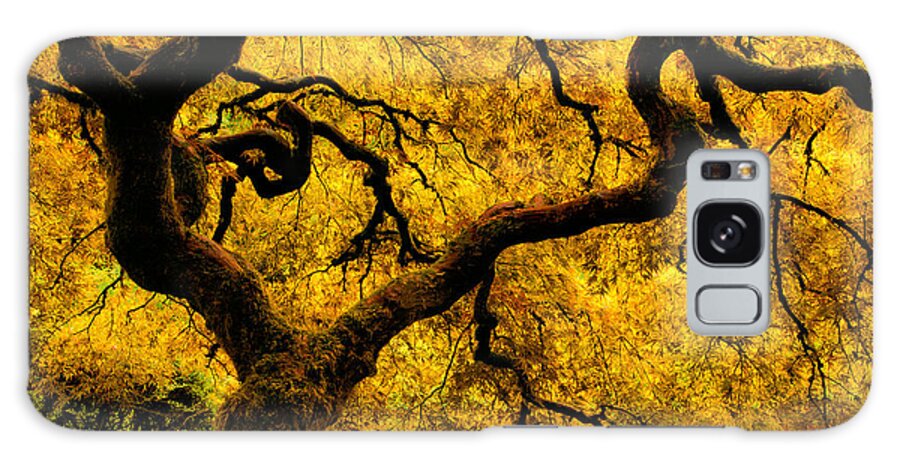 Asian Galaxy Case featuring the photograph Golden Japanese Maple by Don Schwartz