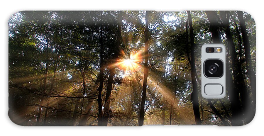 Sunrise Galaxy Case featuring the photograph Golden Light by Melissa Petrey