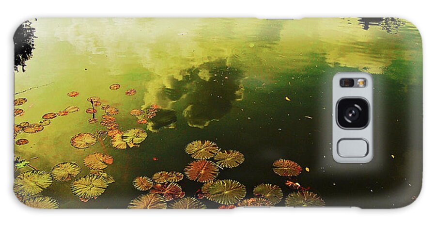 Pond Galaxy Case featuring the photograph Golden Pond by Yen