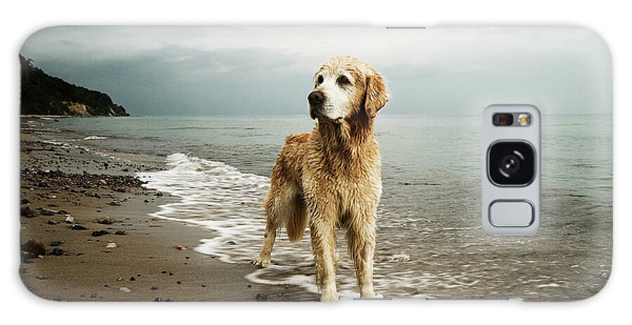 Pets Galaxy Case featuring the photograph Golden Retriever On Beach by Jutta Bauer