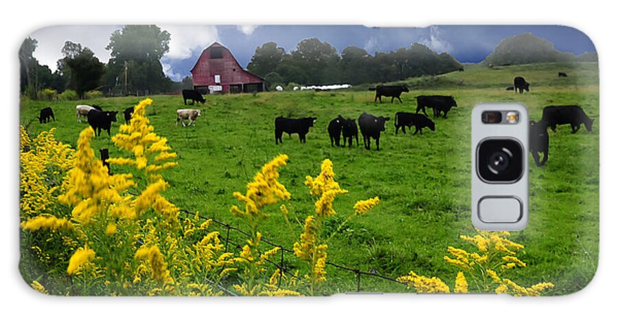 Golden Rod Galaxy S8 Case featuring the photograph Golden Rod Black Angus Cattle by Randall Branham