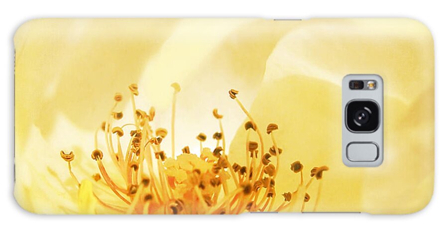Rose Galaxy Case featuring the photograph Golden Showers Rose by Deborah Smith