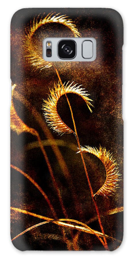 Grasses Galaxy S8 Case featuring the photograph Gone to Seed by Karen Slagle