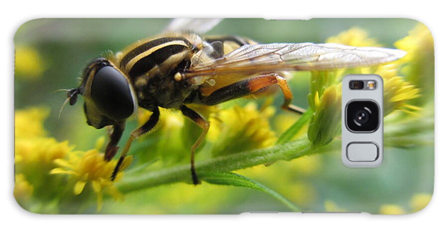 Hoverfly Galaxy S8 Case featuring the photograph Good Guy Hoverfly by Martin Howard