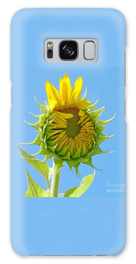 Sunflower Galaxy Case featuring the photograph Good Morning World by Ann Horn