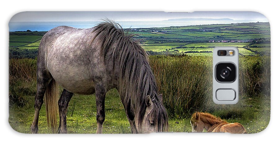 Tranquility Galaxy Case featuring the photograph Gower Ponies by Land And Light