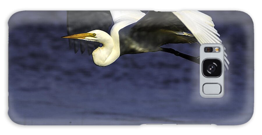 Birds Galaxy Case featuring the photograph Grace by Don Hoekwater Photography