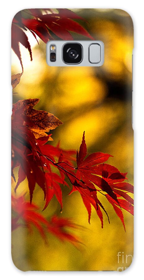 Leaves Galaxy Case featuring the photograph Graceful Leaves by Mike Reid