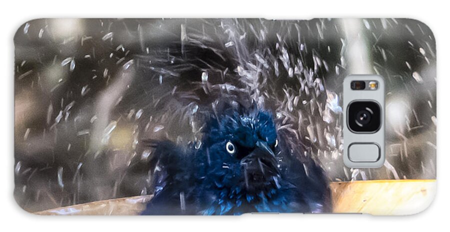 Grackle Galaxy Case featuring the photograph Grackle Bath by Frank Winters