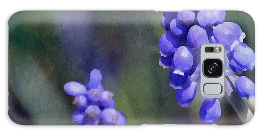 Flower Galaxy Case featuring the photograph Grape Hyacinth by Deena Stoddard