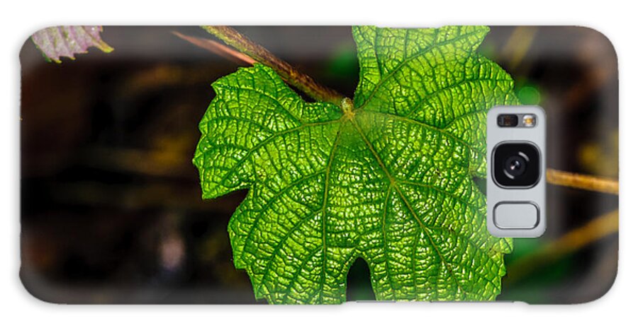Grape Leaves Galaxy S8 Case featuring the photograph Grapes of Rath by Louis Dallara