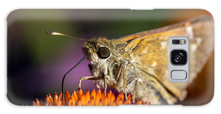 Grass-skippers Galaxy S8 Case featuring the photograph Grass Skipper feeding by Bernd Laeschke