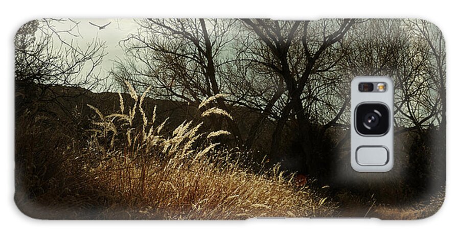 Winter Galaxy S8 Case featuring the photograph Grasses of Winter by Karen Slagle