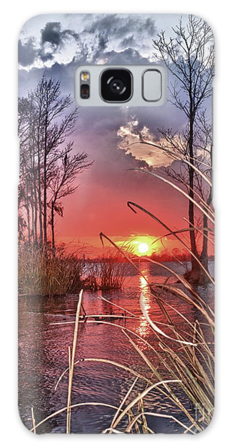 Low Country Sunset Galaxy S8 Case featuring the photograph Grassy View Sunset by Mike Covington