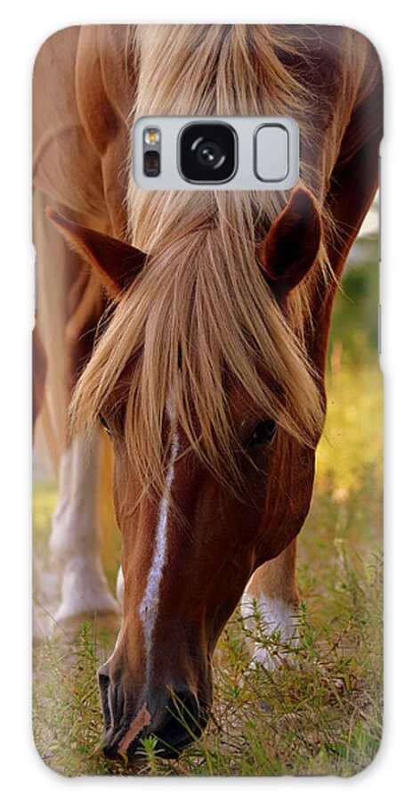 Horses Galaxy Case featuring the photograph Grazin Dayz by Amanda Vouglas