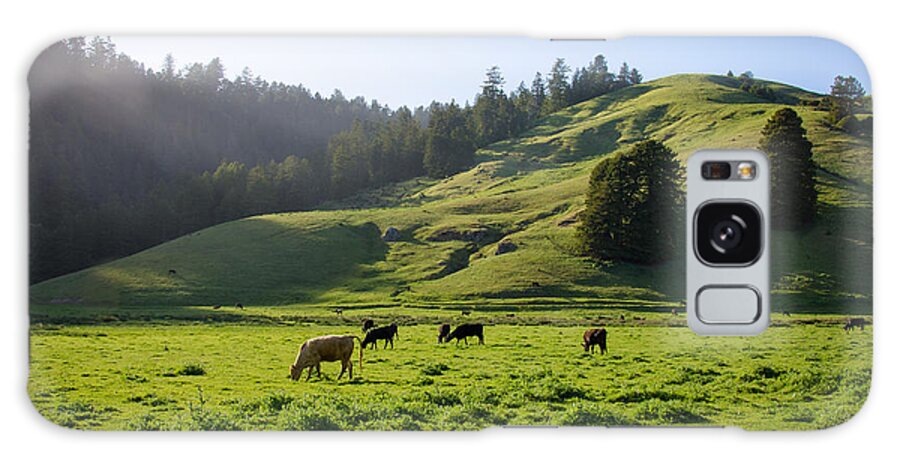 Cml Brown Galaxy Case featuring the photograph Grazing Hillside by CML Brown