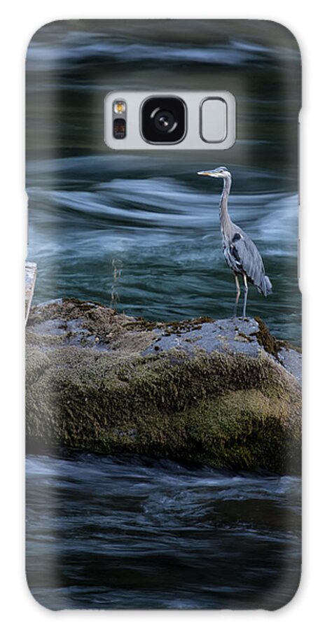 Great Blue Heron Galaxy Case featuring the photograph Great Blue Heron by Belinda Greb