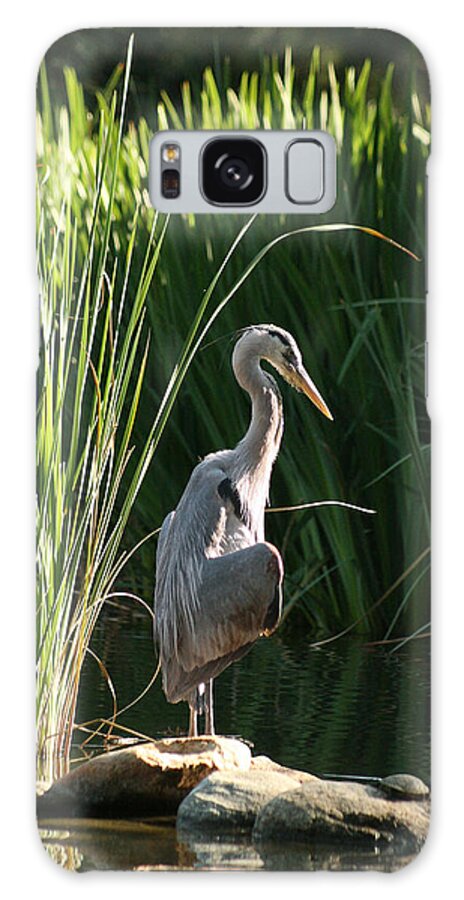 Great Blue Heron Galaxy S8 Case featuring the photograph Great Blue Heron by Ellen Henneke